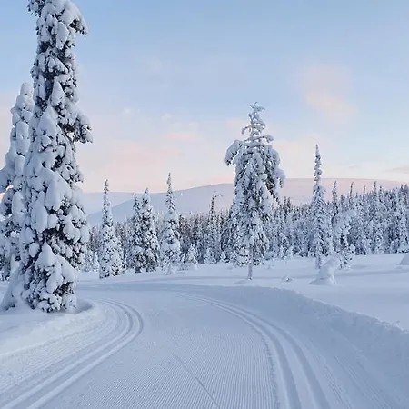 Huoneisto Ylläs Terhakka Äkäslompolo